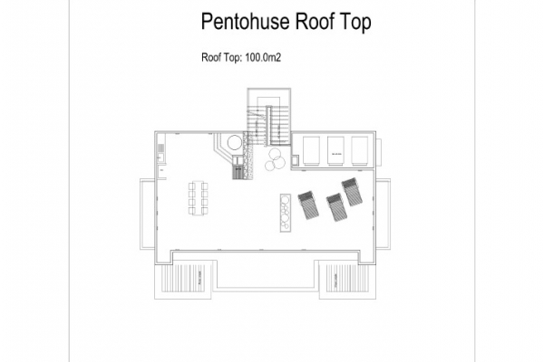 penthouse-floor-plan-roof5315800D-1334-B1A2-3F5F-866559BCD0B9.jpg
